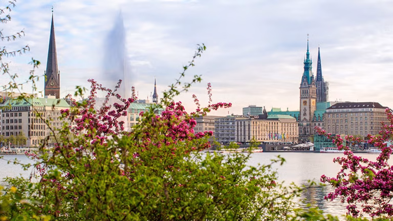 Beste in Hamburg Parks, Cologne’s Streets via Beste Coverage
