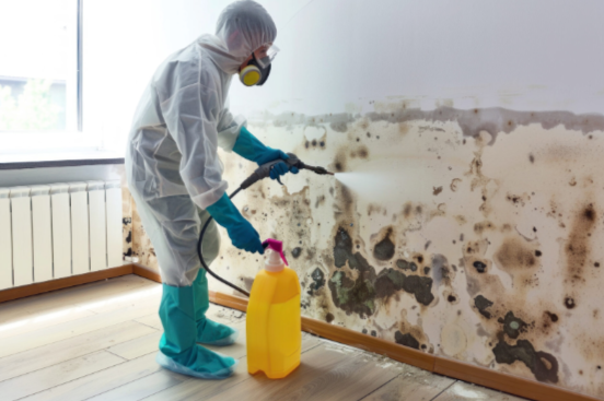 Making Your Home Safer and More Comfortable: A Guide to Essential Services