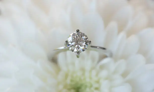Most Eye-Catching Hidden Halo Ring Styles from Lily Arkwright